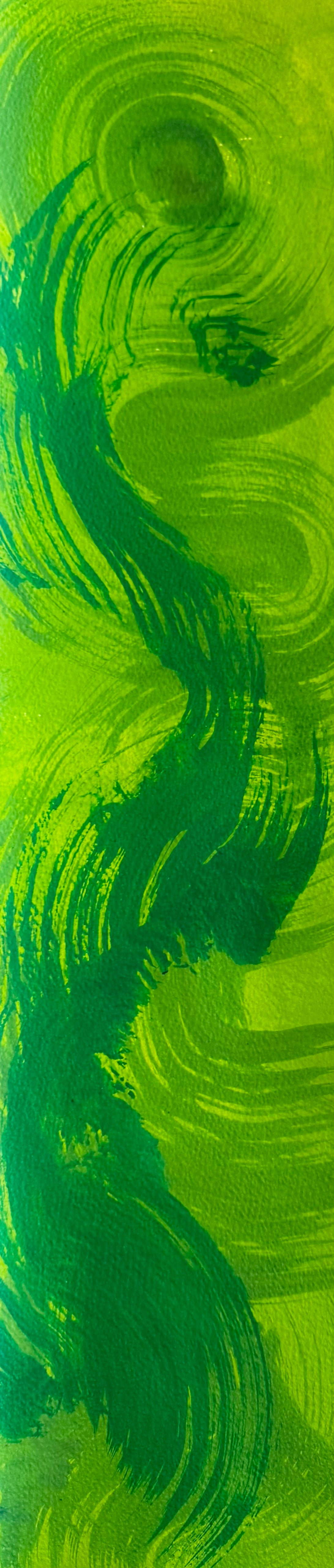 Mr Green Jeans, 2005
